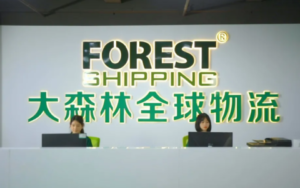 大森林物流-综合跨境物流服务商-跨境百科