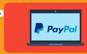 如何创建PayPal账户(PayPal注册流程及收费标准)-跨境百科