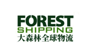 大森林物流-专注FBA头程海外仓服务-跨境百科